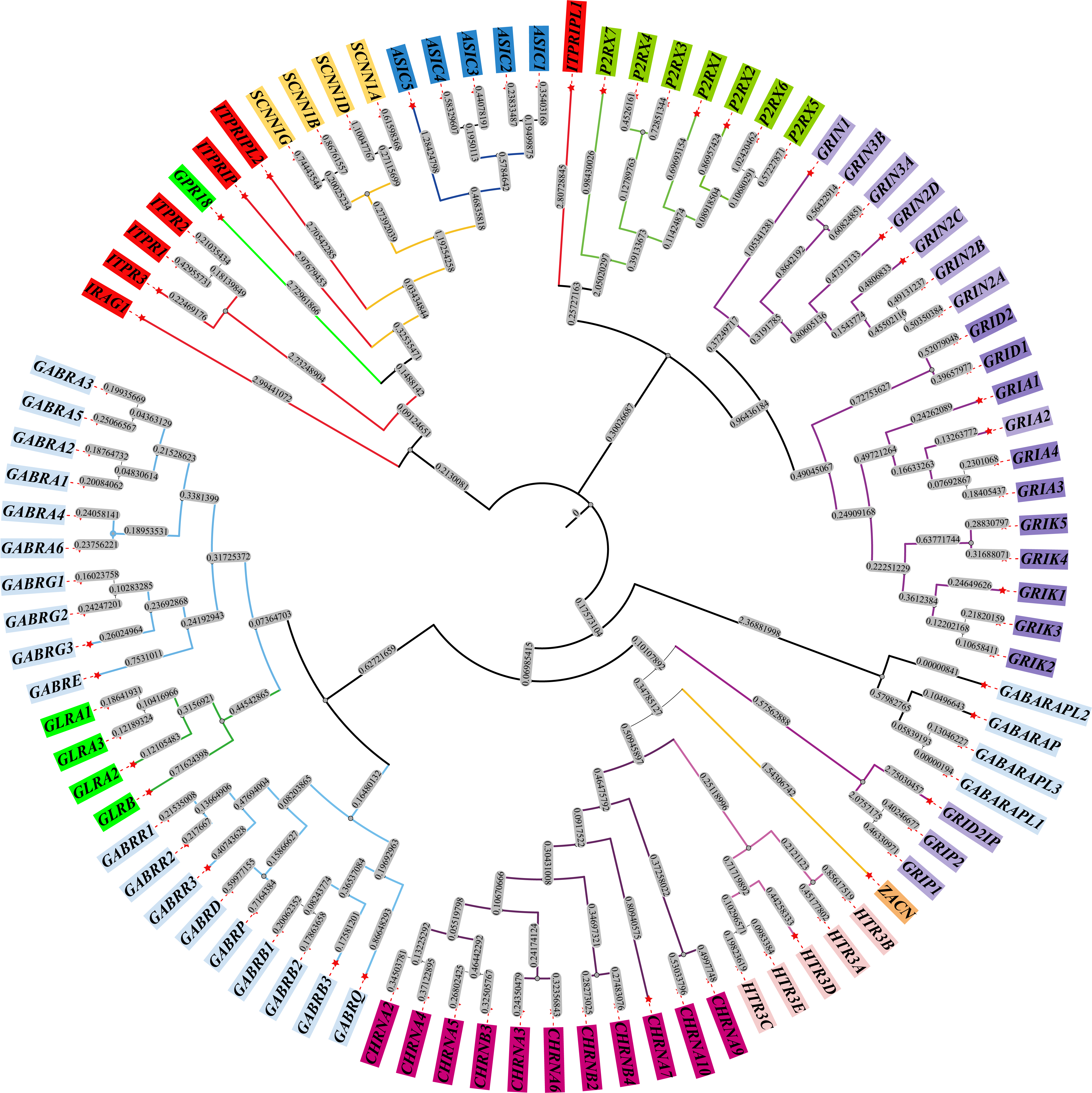 Ligand-gated ion channels phylogenetic tree